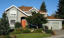 Aliquam erat volutpat